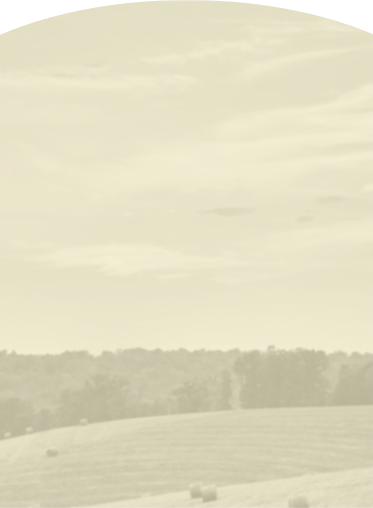 Four Roses Bourbon bottle