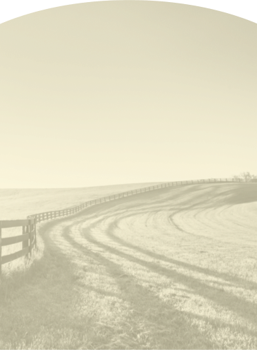 Single Barrel OBSV bourbon bottle