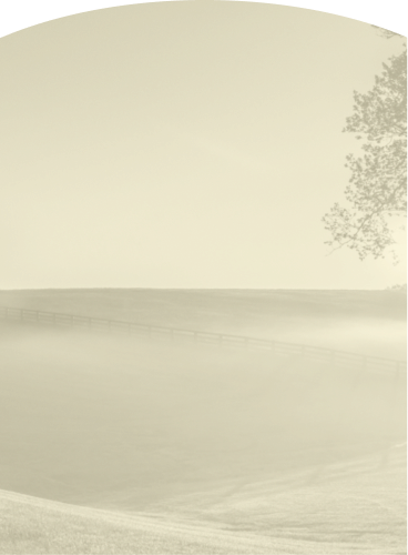 Small Batch Select bourbon bottle